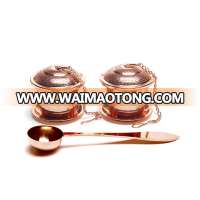 Rose Gold Loose Leaf Tea Infuser (Set of 2) with Tea Scoop and Drip Tray - Ultra Fine Stainless Steel Strainer & Steeper